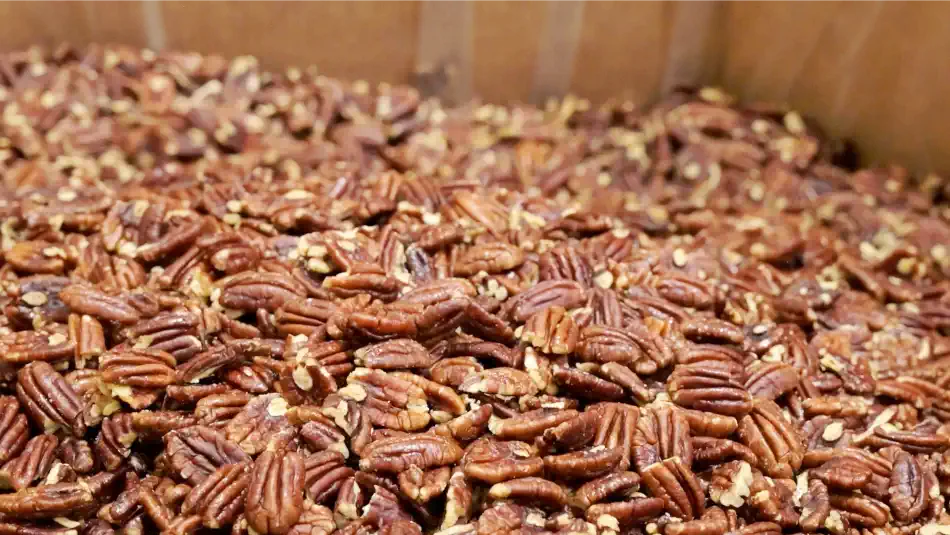 Roasted Pecans
