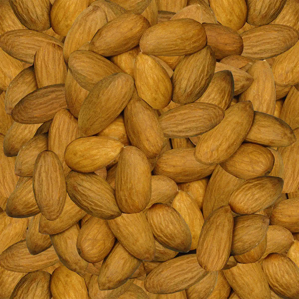 ALMOND WHOLE NATURAL PASTEURIZED RAW