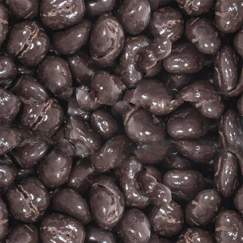 DARK CHOCOLATE CRANBERRIES PROBIOTIC