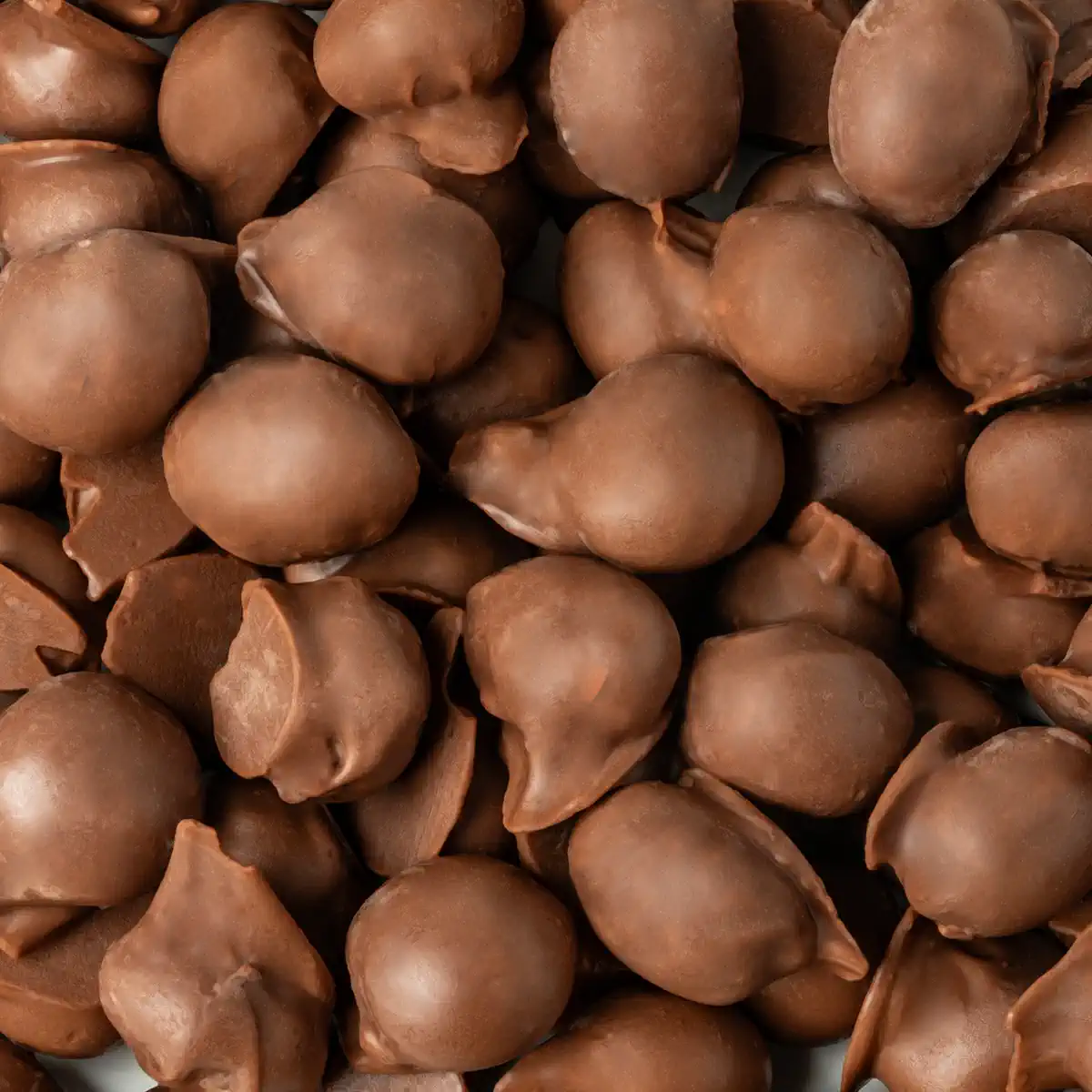 MILK CHOCOLATE PEANUTS DOUBLE DIP NEW