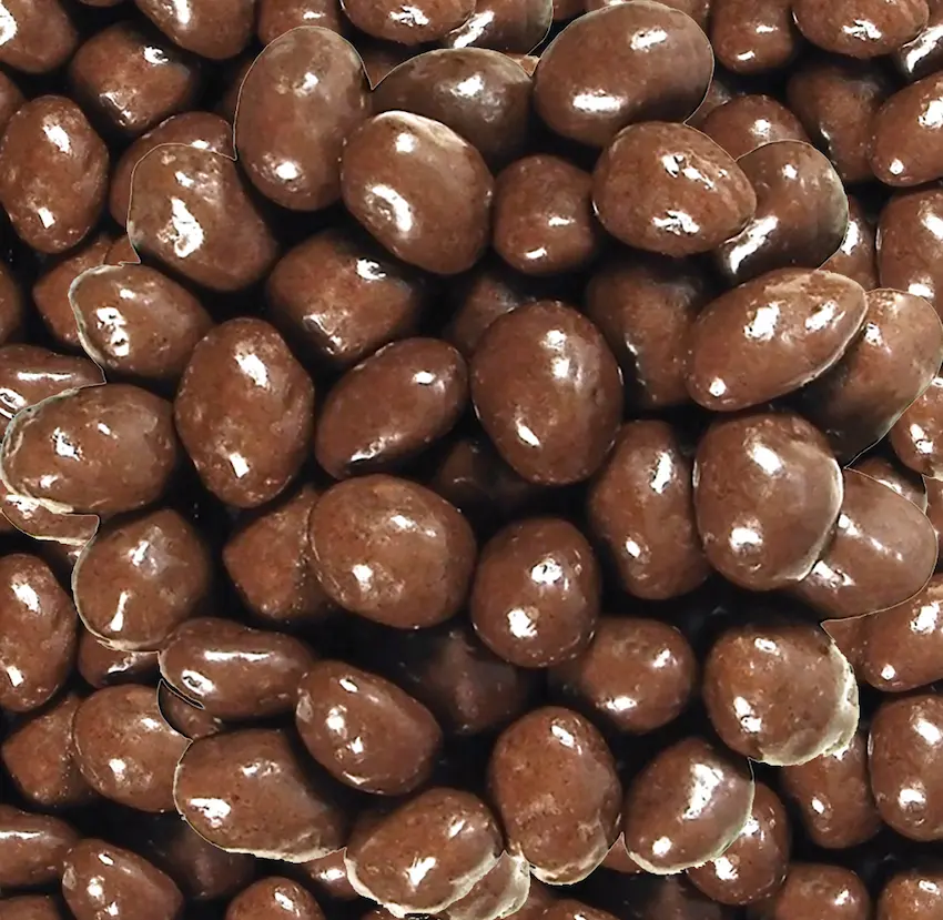 MILK CHOCOLATE RAISINS