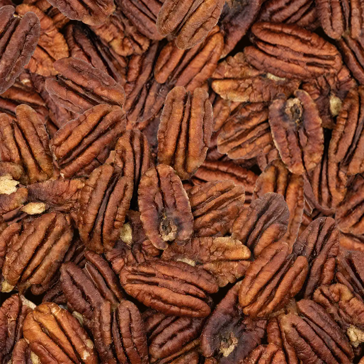 PECAN HALVES MAMMOTH RAW