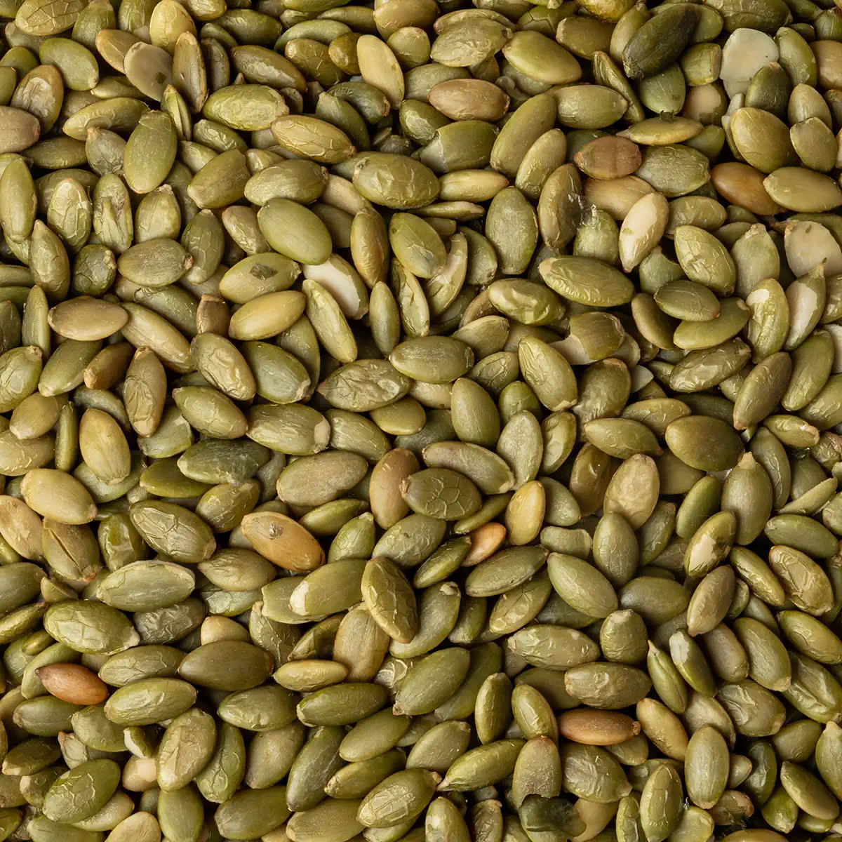 PUMPKIN SEEDS RS