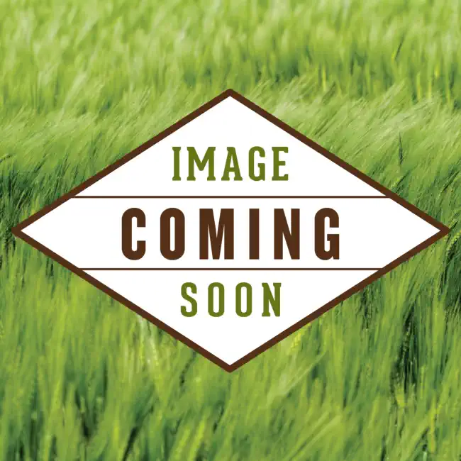 Product Coming Soon placeholder