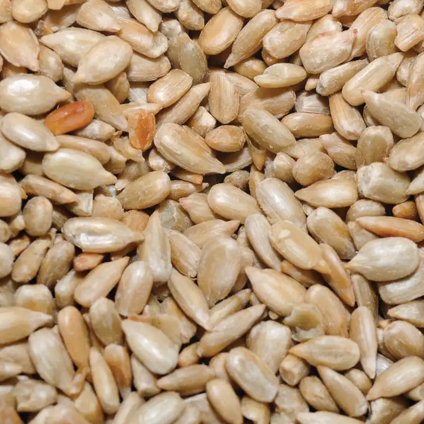 SUNFLOWER SEEDS RAW