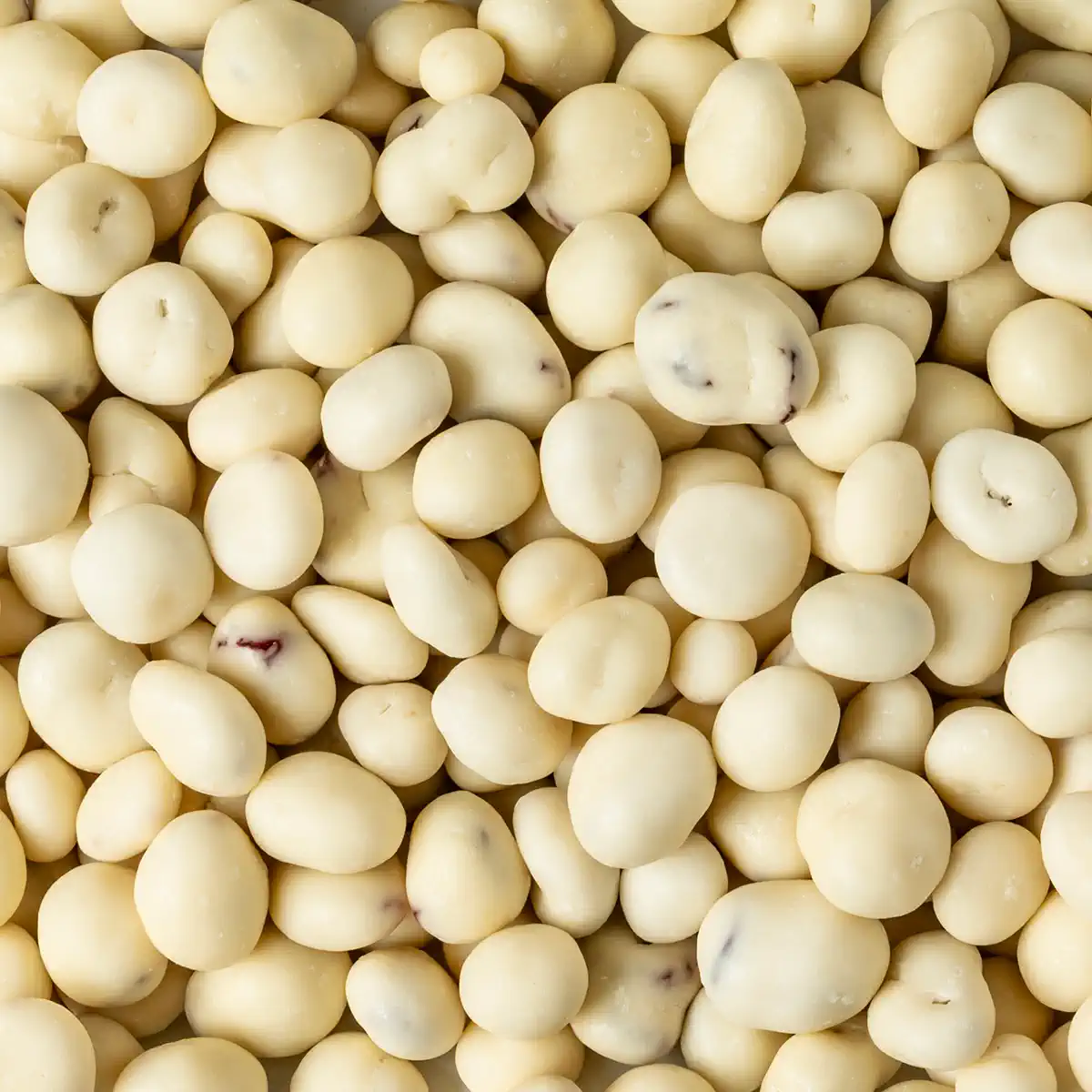 YOGURT FLAVORED CRANBERRIES
