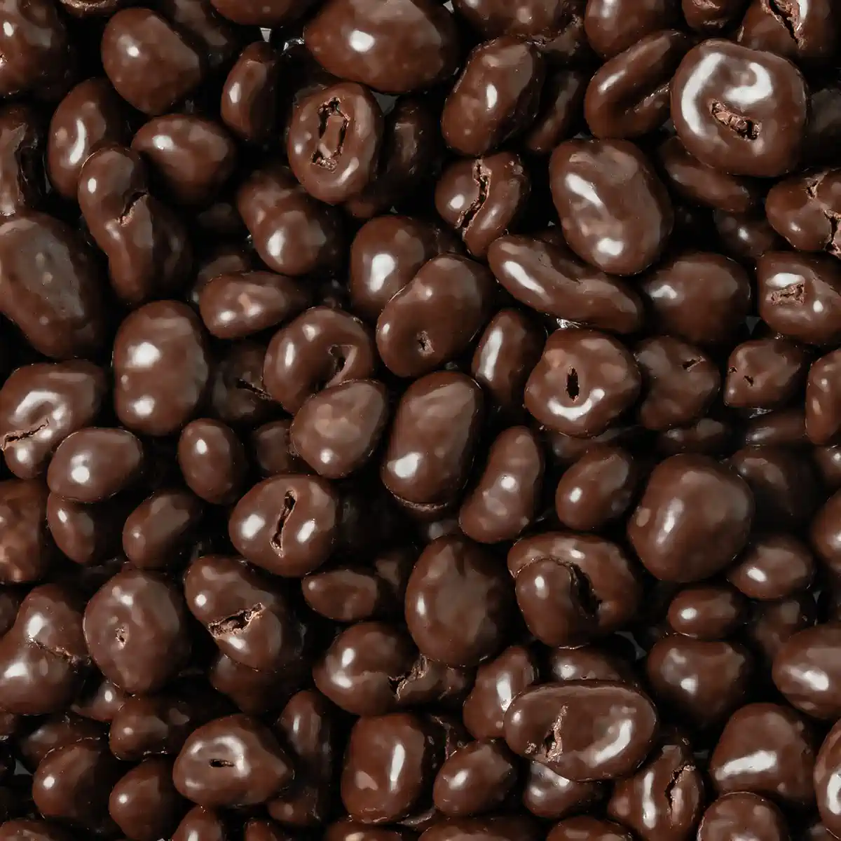 Dark Chocolate Cranberries Probiotic