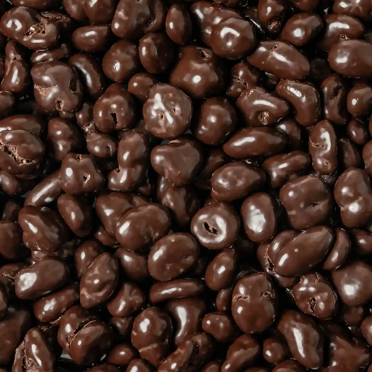 Dark Chocolate Cranberries