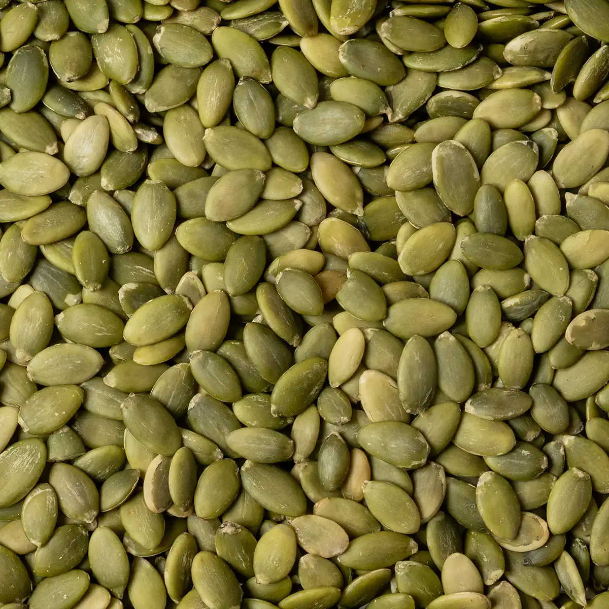 Pumpkin Seeds Raw Pumpkin Seeds Raw