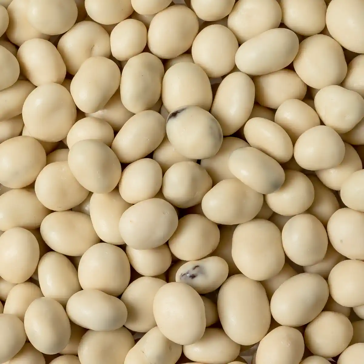 Yogurt Flavored Raisins Probiotic